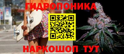индика Кандалакша