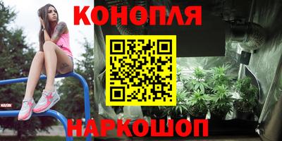 индика Кандалакша