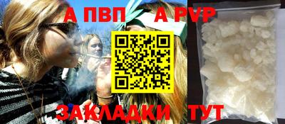 скорость Кингисепп