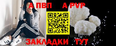 скорость Кингисепп