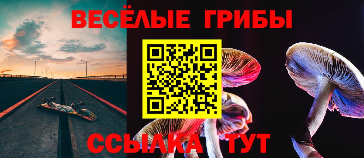 Псилоцибиновые грибы MAGIC MUSHROOMS Глазов